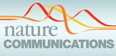 Sulla rivista "Nature Communications" lo studio sinergico UniMe-Swiss Federal Laboratories sugli skyrmions