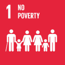 No poverty